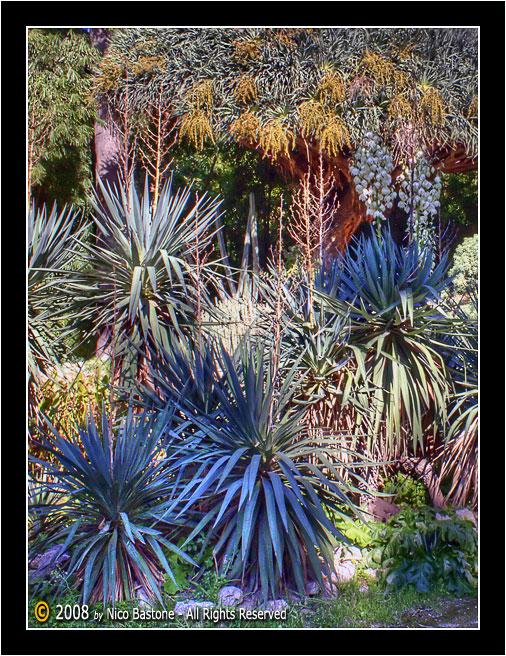 Orto_Botanico_HDR_ (05).jpg